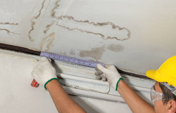 Affordable Ceiling Water Damage Repair solutions in Glenwood, MN